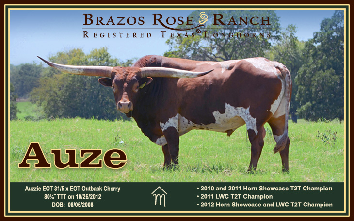 Azue from Brazos Rose Ranch at the 2012 LWC