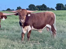 RL LANDMAN 45